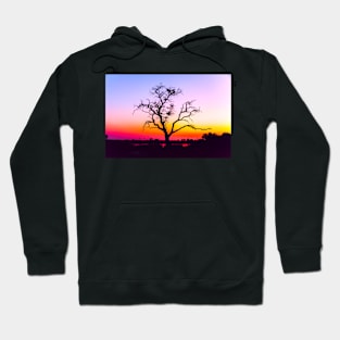 African Tree At Sunset Hoodie